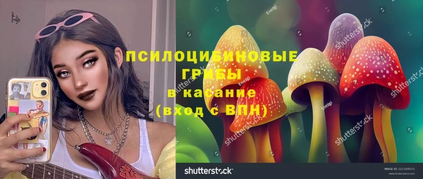 дурь Мегион