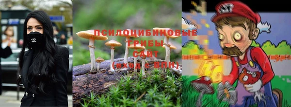 ALPHA PVP Магас